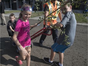 Maxime Guyon (right) carries a tree with the help of his sister Catherine and brother Benjamin as they help plant trees in St-Lazare on Saturday.