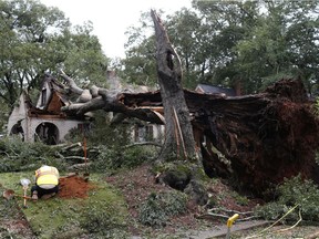 A large tree lays on top of a house after heavy winds and rain from tropical storm Irma hit Athens, Ga., Sept. 12, 2017.
