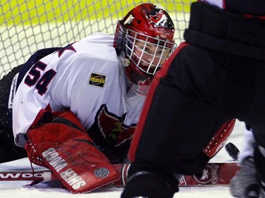 Charline Labonté of the Montreal Axion makes a save in an LNHF playoff game against the Ottawa Raiders at the Etienne Desmarteau Arena on March 19, 2006.