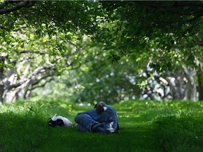 A man rests in the cool shade of apple trees at the sculpture garden of the Canadian Centre for Architecture in Montreal in this August 2009 file photo.