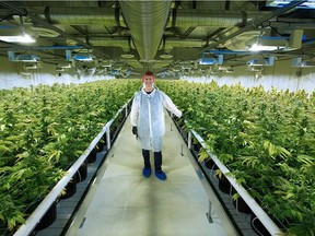 Aurora Cannabis executive vice-president Cam Battley is seen at the company's Mountain View County, Alta. production facility.