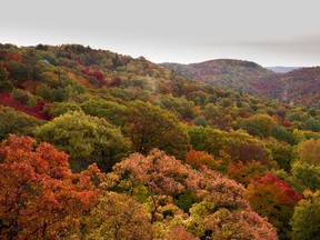 An autumn foliage scene in the Laurentians.