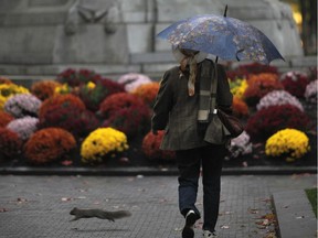 A squirrel crosses a woman's path in Montreal's Dorchester Square on a rainy evening.
