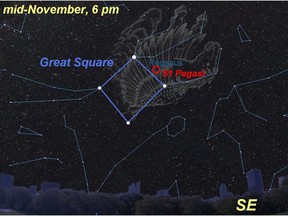 November: Winged horses and meteors fly.