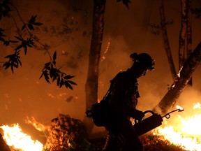 CalFire firefighter Brandon Tolp uses a drip torch during a firing operation while battling the Tubbs Fire on October 12, 2017 near Calistoga, California. At least thirty one people have died in wildfires that have burned tens of thousands of acres and destroyed over 3,500 homes and businesses in several Northern California counties.