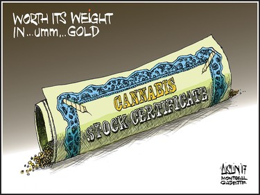 Aislin editorial cartoon: Marijuana legalization is worth it's weight in... umm... gold?