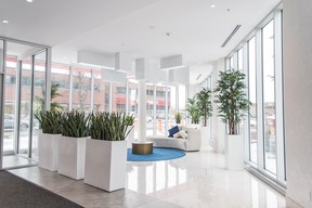 Adding greenery to offices is easy with Décors Véronneau's extensive collection of artificial plants.