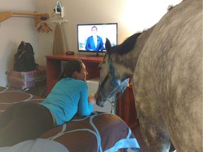 Lindsey Partridge and her horse Blizz are shown in a Super 8 hotel room in Georgetown, Ky. in a handout photo. A Canadian horse has had the opportunity to watch television for the first time at a pet-friendly Kentucky motel.