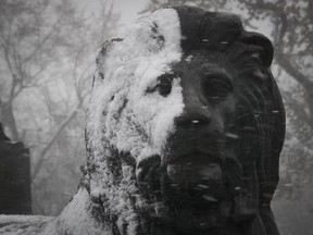 A statue of a lion at the George-Etienne Cartier monument gets covered in snow during the first snowfall in Montreal on Sunday November 19, 2017.