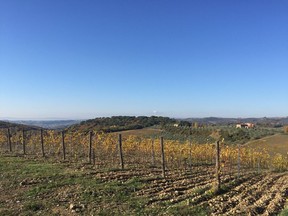 One of San Felice's Vigorello vineyards.