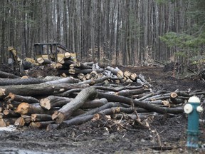 Logging equipment near des Tourterelles street in St-Lazare. The street will be extended to make way for new homes.