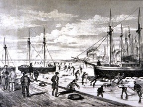 Schooners trapped in ice in the Montreal harbour, 1871.