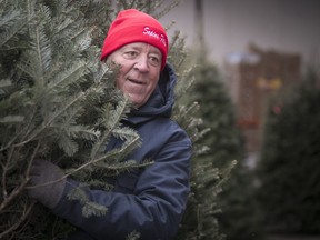 Lionel Filion takes care of his Christmas trees at his Jean Talon market stall, during the afternoon on Friday, Dec. 8, 2017.