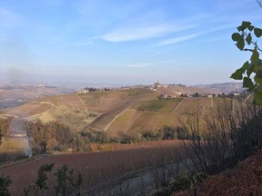 hills of Barolo wine country