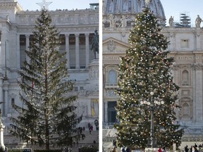 This combo picture taken Tuesday Dec.19, 2017 shows at left Rome's official Christmas tree placed in Piazza Venezia Square and at right the one placed in St. Peters's Square at the Vatican. Despite the tree's 600 silver-colored decorative balls, the half-bare branches lend the square a forlorn rather than festive look and critics note that across town, the Vatican's Christmas tree, from Poland, looks healthy. (AP Photo/Alessandra Tarantino)