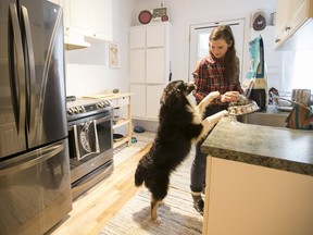 Trine Jorgensen feeds Sture, her Australian Shepherd dog, in the kitchen of her apartment on Tuesday December 12, 2017.