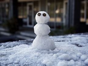 A snowman, built by Marty Ritter, sits on the back of his truck outside Morrow Cleaners in Tallahassee, Fla. Schools were to close as the state prepared for an unusual winter storm.