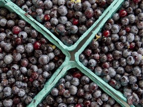 Blueberries are known for their antioxidant properties. "By all means, eat those fruits and vegetables, but cast a wary eye on the antioxidant hype," Joe Schwarcz writes.