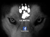 The paw image that is featured on the La Meute website.
