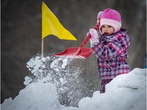 Dollard-des-Ormeaux is marking its 60th anniversary this year and is kicking off festivities with a winter carnival in Centennial Park on Saturday.