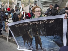 Demonstrators seeking to save l'Anse-à-l'Orme are seen outside Montreal City Hall on May 16, 2016.