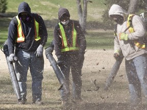 Beaconsfield is mulling over what to do about gas-powered leaf blowers.