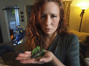 This photo taken Monday, Feb. 5, 2018, shows Michelle Carr, a nurse and new mother living in Kittery, Maine, displaying a dead lizard that she found and while eating a fresh salad, recently. Carr said she bought a bag of store-brand romaine lettuce at a supermarket in Portsmouth, New Hampshire, on Jan. 26. The lettuce was distributed by a California company. A supermarket spokeswoman said it notified the supplier..
