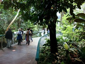 File photo shows rainforest section at the Biôdome in Montreal.