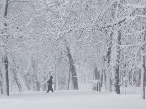 A runner enjoys the winter scene, as he goes for an early morning run at Lafontaine Park on Wednesday, March 14.