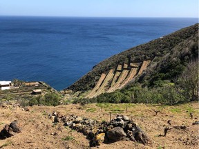 Ancient vines and steep cliffs of volcanic soil help make Passito de Pantelleria unique.