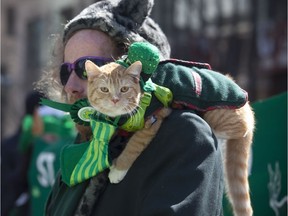 Even cats showed their Irish spirit at the St Patrick's Day Parade in Montreal in 2014.