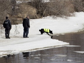 Police divers have not entered the Rivière des Prairies during the past few days because of difficult conditions, and Doc — a borrowed RCMP dog — has been sent back to Halifax.