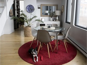 The dining room area in the home of Christophe Lambert and Marie. The couple's Boston Terrier, Pretzel, enjoys a moment on the rug.