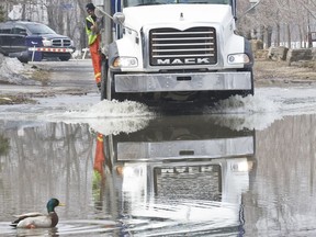 A duck tries to swim across a flooded section of Riviera Street at 6th Street ahead of a garbage truck, at the edge of the Mille Îles River in Laval West, north of Montreal, Monday, April 14, 2014