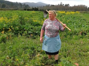 Dolores Leis stands in a field on her farm in Galicia, in northern Spain, Thursday April 19, 2018. Leis, has found unexpected fame on social media after many found she bore a striking resemblance to U.S. President Donald Trump. Thousands of responses flooded in last week after a journalist reporting on farming in northwestern Spain posted on Instagram a picture of Dolores Leis dressed in farm clothing with a hoe over her shoulder.