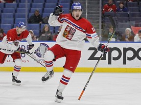 Czech Republic forward Filip Zadina celebrates his goal against Canada during the first period of a semifinal in the IIHF World Junior Hockey Championship on Jan. 4, 2018, in Buffalo.