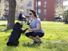 Bianca Dancose-Giambattisto and her dog, Maximilien, enjoy their moment in the sun at Parc Charlevoix Rufus-Rockhead on May 9.