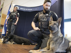 Laval police K-9 units Veronique Houle with Ex and Louis-Pier (not Pierre) Perreault with Judas, during media introduction on Wednesday May 16, 2018.