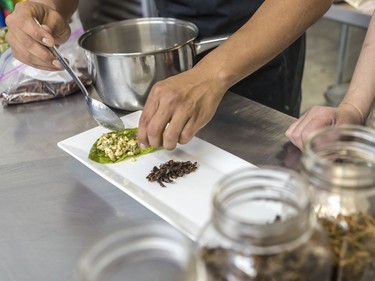 Chef  José-Carlos Redon, who is visiting from Mexico, where he is a sustainable insect farmer, prepares a tasting plate of dishes featuring edible insects.