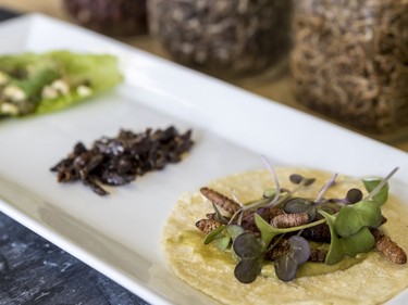 A tasting plate featuring edible insects prepared by José-Carlos Redon, who is visiting from Mexico, where he is a sustainable insect farmer. Far left, ant eggs; in the centre, grasshoppers which have been roasted with maple syrup, then dusted with hibiscus and beetroot salt; on the right are chimincuiles, red maguey worms on a corn tortilla spread with avocado.