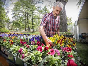 Don Budd of Budd Gardens Perennials in Ottawa sets up his kiosk at the Botanical Garden's Great Gardening Weekend.