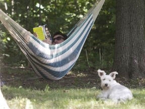 Nicolas and his dog Onfray, relax in the shade on Mount Royal park on Wednesday September 7, 2016.  (Pierre Obendrauf / MONTREAL GAZETTE)