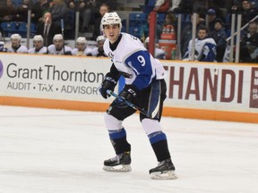 Kirkland's Joe Veleno has averaged a point a game at each level he has played and he helped the Saint John Sea Dogs win the Memorial Cup last season.