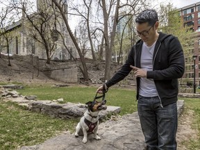 "This is basically a public park" says Phil Chu, who lives two blocks from the green space that St. Patrick's Basilica is selling to HEC. Chu wants the city of Montreal to step in and save the park from development plans. (Dave Sidaway / MONTREAL GAZETTE)