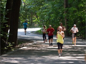 Runners use the Olmstead Trail to jog on Mount Royal Park, in Montreal on Wednesday July 31, 2013.