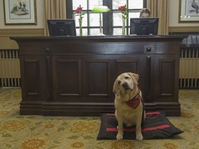 At the centre of the G7 Summit "red zone", surrounded by $3.8 million worth of security fencing, is the summit site, Fairmont Le Manoir Richelieu, in which sits the cushion on which canine ambassador Roux rests.