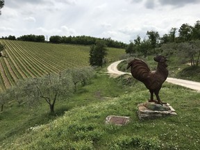 Tuscany is home to some famous appellations, including Chianti and Brunello di Montalcino, but it also has lesser known ones that are just as interesting.