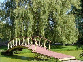 As the willows grow, they absorb the pollutants in the soil, while their roots produce micro-organisms that further break down the chemical compounds that can’t be absorbed.