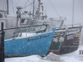 Parts of Newfoundland were hit with a spring snow storm.