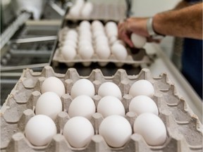 "The American Heart Association has dropped its reference to egg restriction and the latest edition of Dietary Guidelines for Americans, compiled by a body of experts, no longer makes any mention of the 300 mg daily limit of cholesterol," Joe Schwarcz writes.